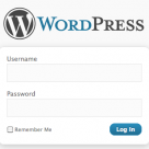 Top 5 reasons to use WordPress in your Social Media campaign